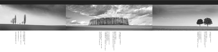Japanese essay