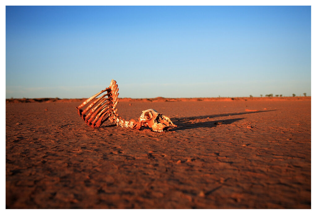 Exhibition by Barry Ashworth