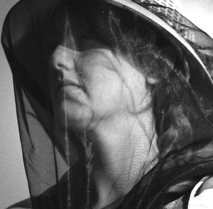 No 3 ~ The Beekeeper